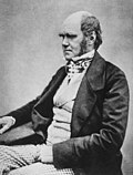 Darwin