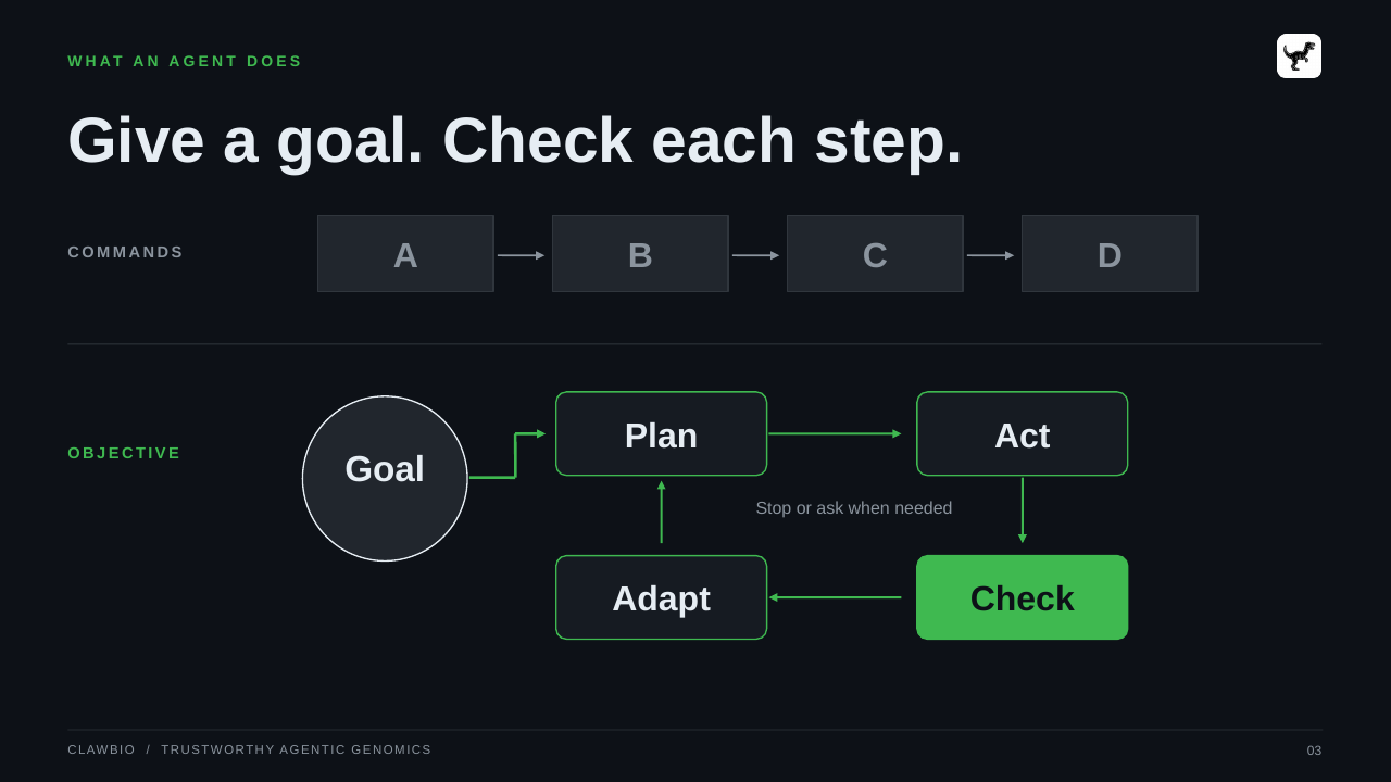CLAWBIO  /  TRUSTWORTHY AGENTIC GENOMICS 03 WHAT AN AGENT DOES Give a goal. Check each step. COMMANDS A B C D OBJECTIVE Goal Plan Act Check Adapt Stop or ask when needed