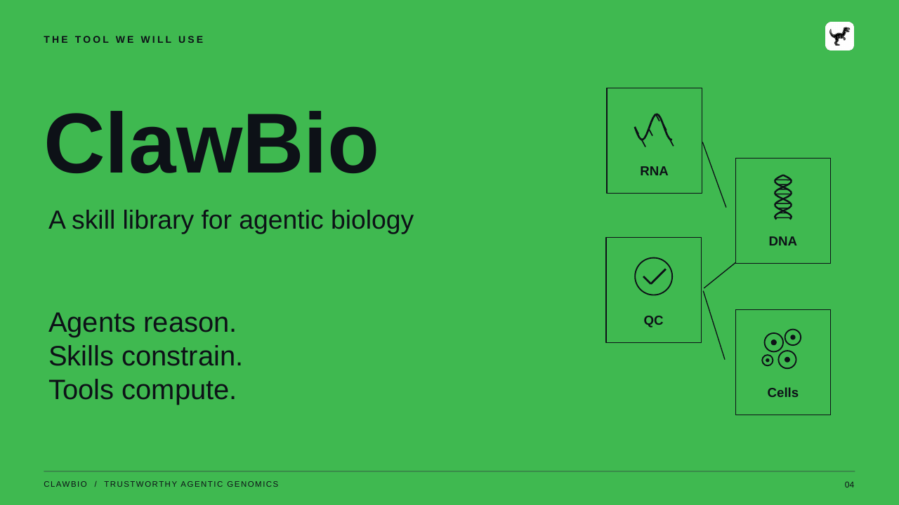 CLAWBIO  /  TRUSTWORTHY AGENTIC GENOMICS 04 THE TOOL WE WILL USE ClawBio A skill library for agentic biology Agents reason. Skills constrain. Tools compute. RNA DNA QC Cells